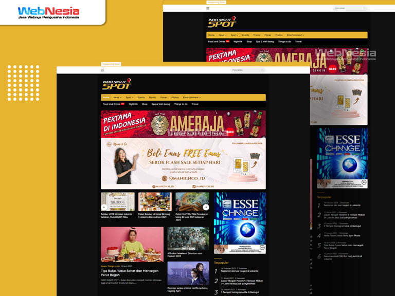 Website Portal Berita Professional | WebNesia Developer